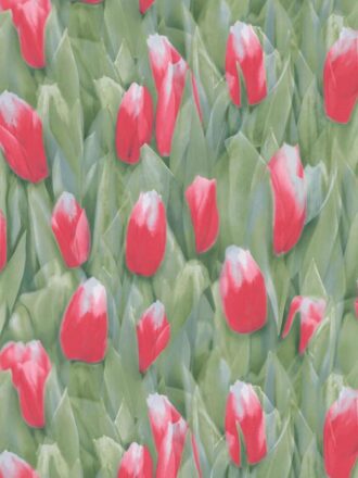 ΤΑΠΕΤΣΑΡΙΑ REALITY ΣΤΟΚ Π.Χ 51124610 NewPlan