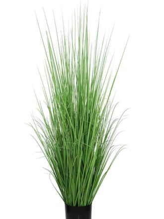 ONION GRASS TREE  NP1011_120 ΥΨΟΣ 120cm NewPlan