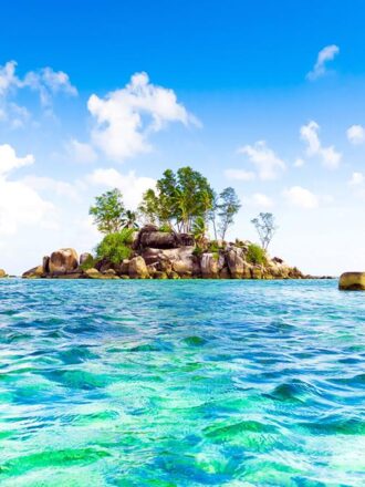 1619FTL ΣΤΟΚ Π.Χ ΦΩΤΟΤΑΠΕΤΣΑΡΙΑ Τ CREATIVE XL  A&G 180*202 NewPlan