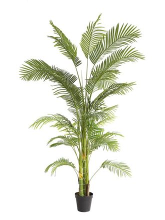 PALM TREE  NP5500_240_22 ΥΨΟΣ 240cm NewPlan