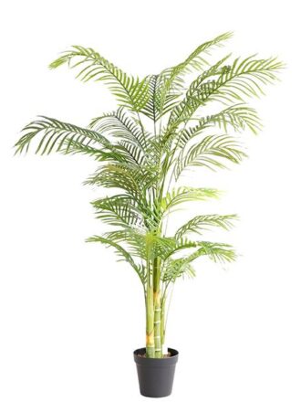 PALM TREE  NP5506_180_22  ΥΨΟΣ 180cm NewPlan