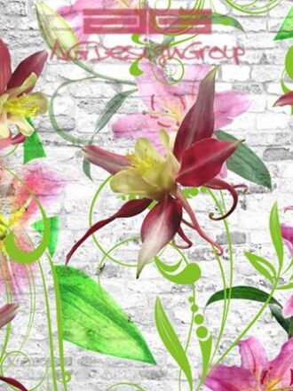 0180FT ΣΤΟΚ Π.Χ ΦΩΤΟΤΑΠΕΤΣΑΡΙΑ D(STANDARD) A&G 360*254 NewPlan