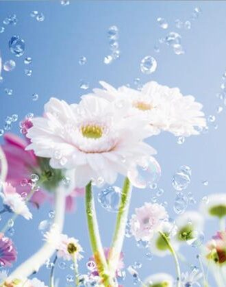 0084FT ΣΤΟΚ Π.Χ ΦΩΤΟΤΑΠΕΤΣΑΡΙΑ D(STANDARD) A&G 360*254 NewPlan