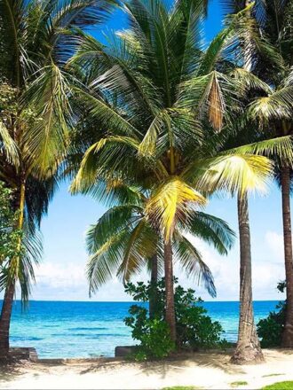 1610FTL ΣΤΟΚ Π.Χ ΦΩΤΟΤΑΠΕΤΣΑΡΙΑ Τ CREATIVE XL  A&G 180*202 NewPlan