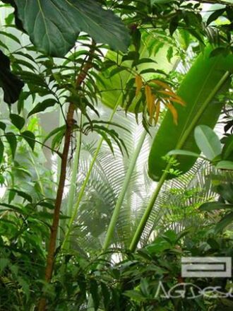 0186FTS ΣΤΟΚ Π.Χ ΦΩΤΟΤΑΠΕΤΣΑΡΙΑ D(STANDARD) A&G 360*254 NewPlan