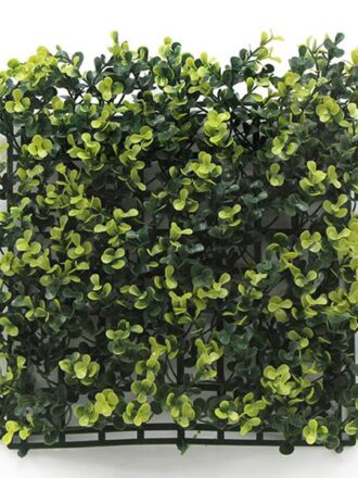 ΠΑΝΕΛ ΦΥΛΛΩΣΙΑΣ BERLIN 50 Χ 50 A003 BUXUS NewPlan
