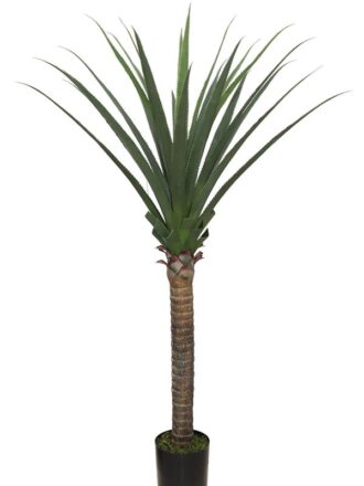 AGAVE TREE  NP802_160  ΥΨΟΣ 160cm NewPlan