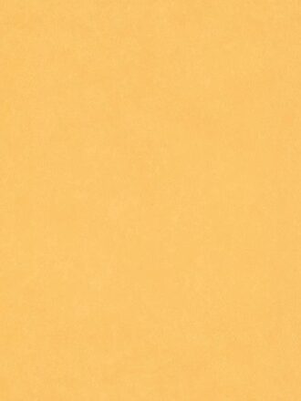 ΤΑΠΕΤΣΑΡΙΑ  LES AVENTURES ΣΤΟΚ Π.Χ 11060302 NewPlan