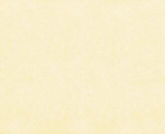 ΤΑΠΕΤΣΑΡΙΑ SALINASNEW ΣΤΟΚ Π.Χ 29001 NewPlan