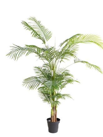 PALM TREE  NP5502_180_22   ΥΨΟΣ 180cm NewPlan