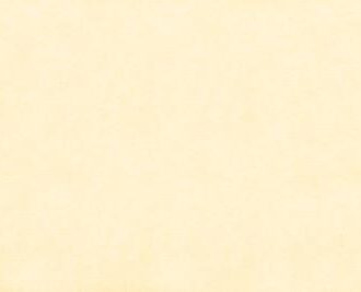 ΤΑΠΕΤΣΑΡΙΑ SALINASNEW ΣΤΟΚ Π.Χ 29004 NewPlan