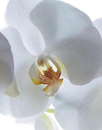 0190FΤ ΣΤΟΚ Π.Χ ΦΩΤΟΤΑΠΕΤΣΑΡΙΑ Β(CREATIVE) A&G 360*270 NewPlan