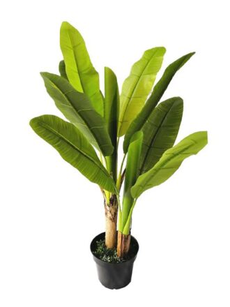 BANANA TREE NP014_120_22  ΥΨΟΣ 120cm NewPlan