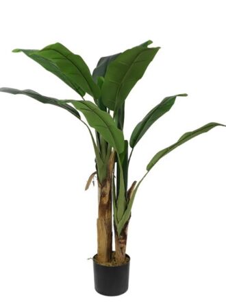 BANANA TREE NP702_145  ΥΨΟΣ 145cm NewPlan