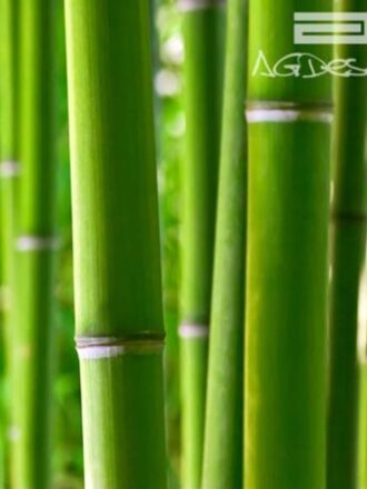 0170FT ΣΤΟΚ Π.Χ ΦΩΤΟΤΑΠΕΤΣΑΡΙΑ D A&G 360*254 NewPlan