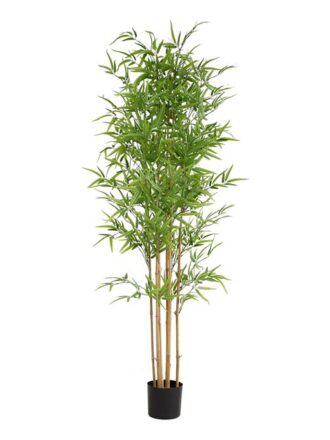 BAMBOO  NP6321_180_22  ΥΨΟΣ 180cm NewPlan